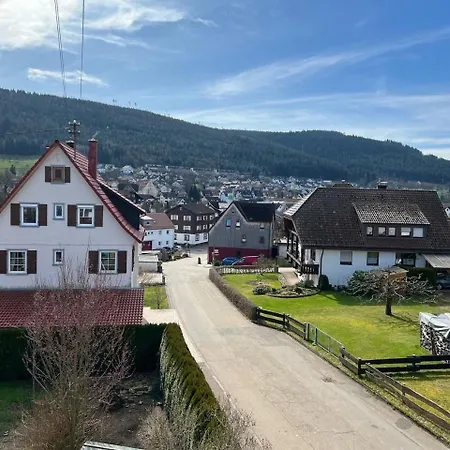 Ferienwohnung Am Wiesenrain Baiersbronn Buitenkant foto